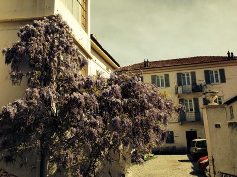 La Finestra Sul Cortile Apartment Aosta Bagian luar foto